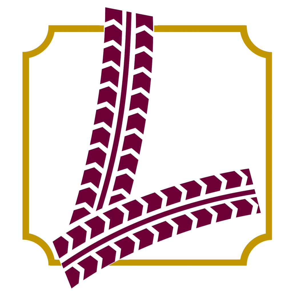 220/55VR390 Michelin TRX