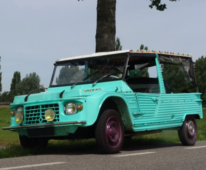 Citroen Mehari Bleue