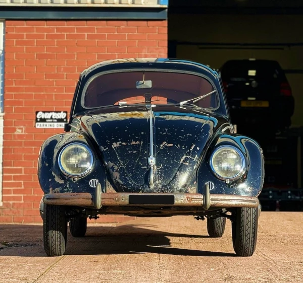 Early Beetle on 500/525-16 PIRELLI STELLA BIANCA Tyres